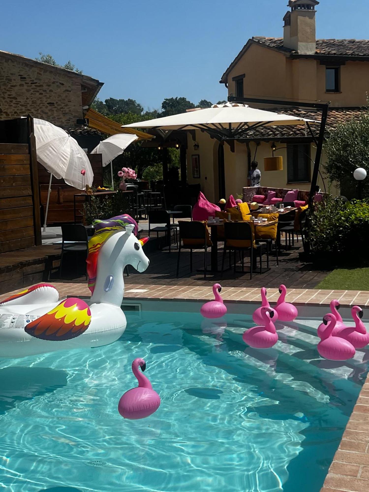 Country House Ca' Vernaccia Guest House Urbino Exterior photo